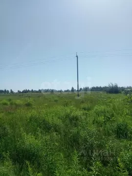 Участок в Псковская область, Псковский район, Завеличенская волость, ...