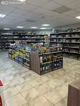 Помещение свободного назначения (120.3 м)