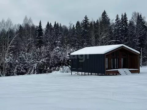 Дом в Московская область, Дмитровский муниципальный округ, Изумрудный ...
