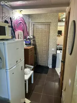 Квартира-студия: Пушкино, Западная улица, 33 (24.5 м)