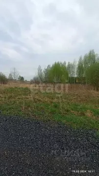 Участок в Томская область, Томск пос. Родионово, ул. Светлая (15.54 ...