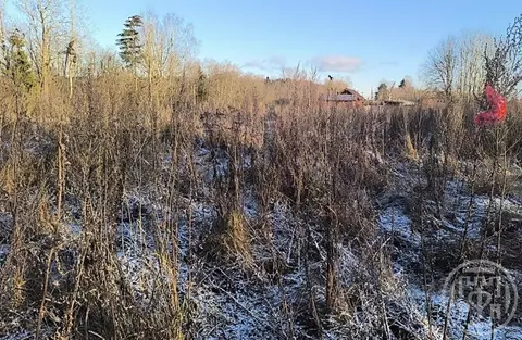 Участок в Ленинградская область, Лужский район, Толмачевское городское ...