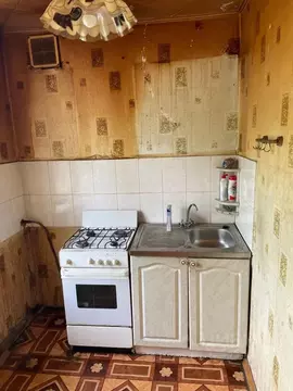 2-к кв. Московская область, Раменский муниципальный округ, д. Нижнее ...