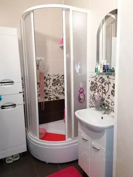 Студия Санкт-Петербург просп. Ветеранов, 173к7 (24.7 м)