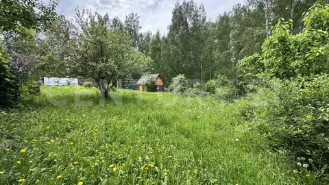 Участок в Чувашия, Моргаушский муниципальный округ, с. Ильинка ул. ...