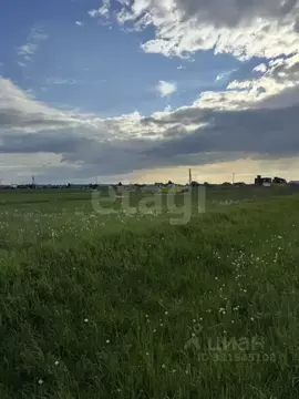 Участок в Костромская область, Красносельский муниципальный округ, ...