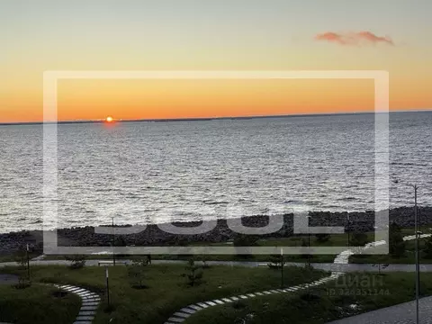 3-к кв. Санкт-Петербург наб. Миклухо-Маклая, 3к1 (87.8 м)