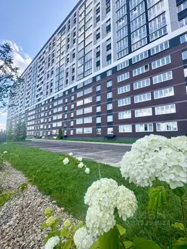 1-к кв. Брянская область, Брянск просп. Станке Димитрова, 67к7 (31.3 ...