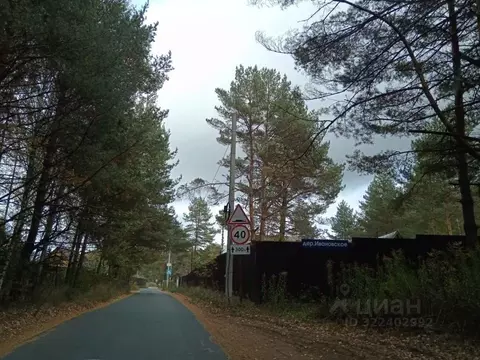 Участок в Нижегородская область, Бор муниципальный округ, с. ...