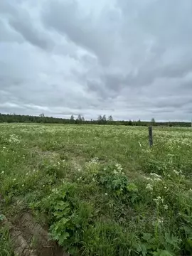 Участок в Кировская область, Киров городской округ, д. Булдаки ул. ...