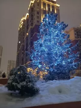 Студия Санкт-Петербург ул. Дыбенко, 8к1 (26.0 м)