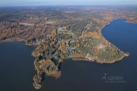 Участок в Ленинградская область, Выборгский район, Приморское ...