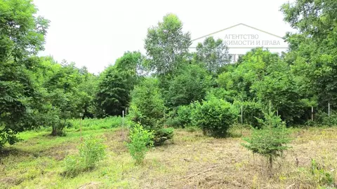 Участок в Приморский край, Артемовский городской округ, с. Кролевцы ...