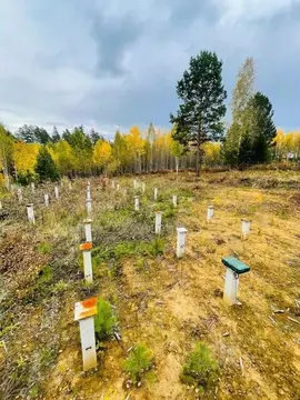 Участок в Иркутская область, Иркутский муниципальный округ, д. ...