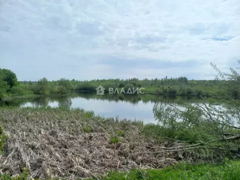 Участок в Пензенская область, Пензенский район, Богословский ...