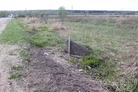 Участок в Ленинградская область, Ломоносовский район, Русско-Высоцкое ...