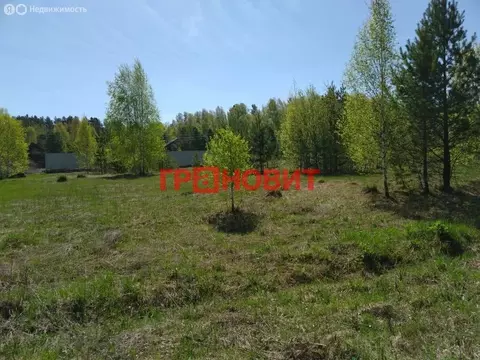 Участок в село Ташара, Восточная улица, 24 (11.55 м)