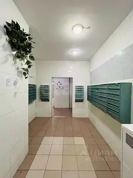 2-к кв. Московская область, Люберцы Комсомольский просп., 24/2 (53.6 ...