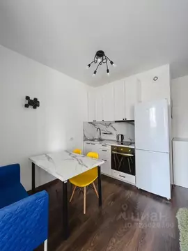 Студия Санкт-Петербург ул. Ультрамариновая, 4 (24.3 м)