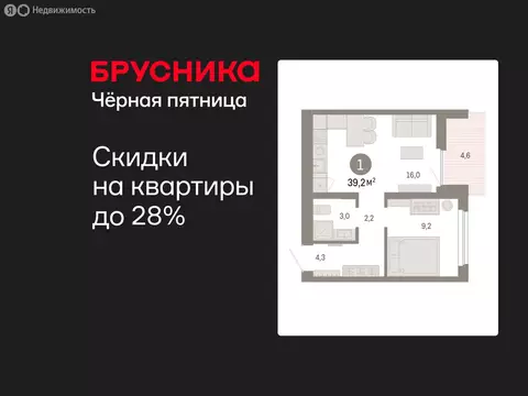 1-комнатная квартира: Екатеринбург, микрорайон Академический, 19-й ...