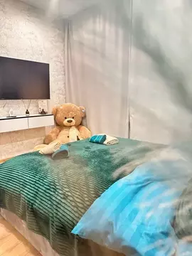 Студия Московская область, Ногинск Богородский городской округ, ул. ...