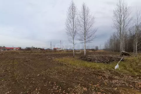 Участок в Тюменская область, Нижнетавдинский муниципальный округ, ...