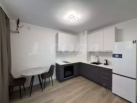 Студия Тюменская область, Тюмень ул. Юрия Рогачева, 9к2 (25.0 м)