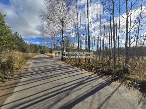 Участок в Ленинградская область, Выборгский район, Полянское с/пос, ...