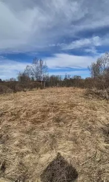 Участок в Карелия, Лахденпохский муниципальный округ, пос. Мийнала  ...