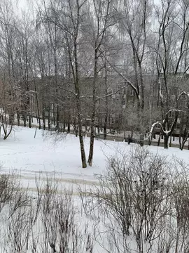 2-к кв. Ярославская область, Ярославль проезд Ушакова, 2а (42.1 м)