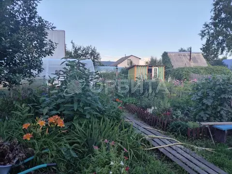 Дом в Тюменская область, Тюмень Ручеек СНТ, ул. Институтская, 17 (78 ...