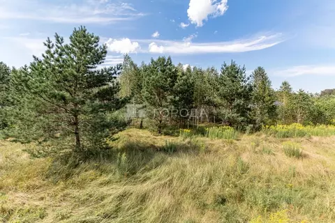 Участок в Алтайский край, Барнаул ул. Есенина, 17 (9.0 сот.)
