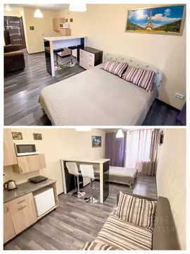 Студия Саратовская область, Саратов Огородная ул., 157 (27.0 м)