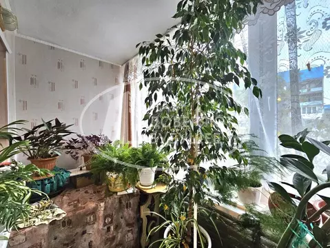 3-к кв. Пермский край, Чайковский городской округ, пос. Марковский 16 ...