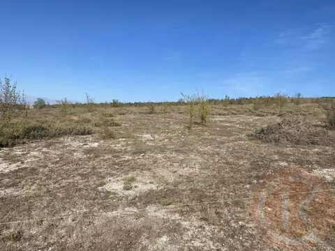 Участок в Крым, Бахчисарайский район, с. Скалистое ул. Гаспринского ...