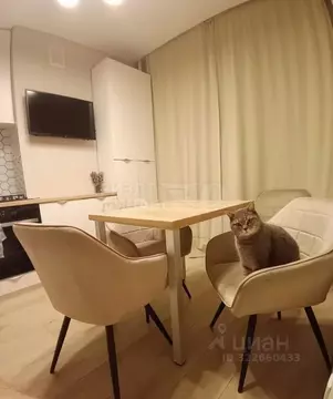 2-к кв. Калининградская область, Калининград Суздальская ул., 20к3 ...