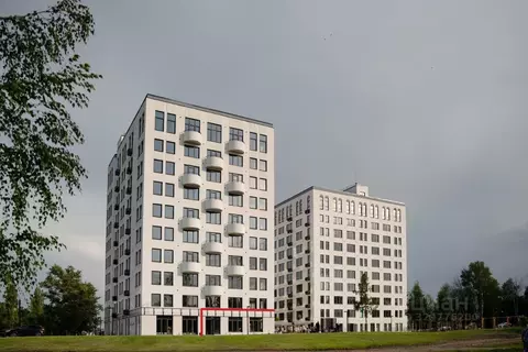 Помещение свободного назначения в Липецкая область, Елец ...
