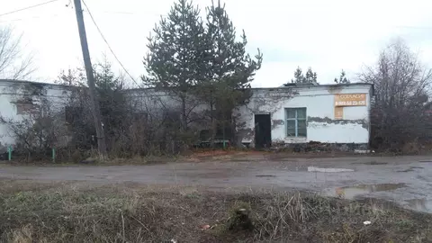 Помещение свободного назначения в Оренбургская область, пос. Саракташ ...