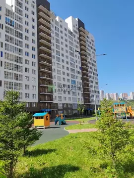 1-к кв. Красноярский край, Красноярск ул. Лесников, 31 (33.0 м)