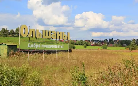 Участок в Московская область, Дмитровский муниципальный округ, Ольшаны ...