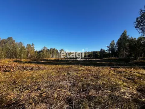 Участок в Владимирская область, Петушинский муниципальный округ, пос. ...