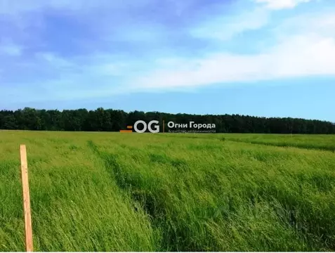 Участок в Брянская область, Брянский район, Отрадненское с/пос, с. ...