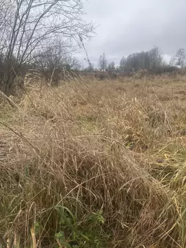 Участок в Ленинградская область, Тосненское городское поселение, д. ...