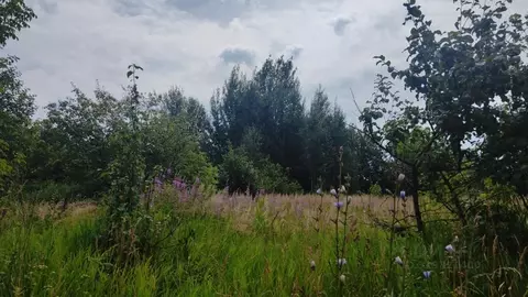 Участок в Владимирская область, Суздальский район, Боголюбовское ...