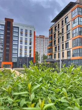 2-к кв. Брянская область, Брянск Степная ул., 20 (64.1 м)