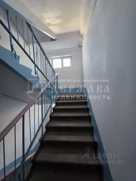 2-к кв. Кемеровская область, Березовский просп. Ленина, 48 (44.4 м)