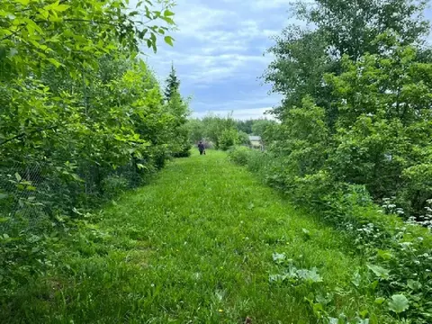 Продается участок в д. Насадкино