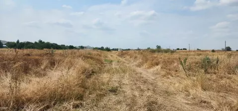 Участок в Ставропольский край, Грачевский муниципальный округ, с. ...