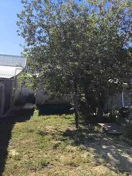 Дом в Саратовская область, пос. Рейник ул. Садовая (52 м)