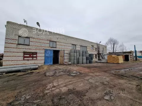 Производственное помещение в Чувашия, Вурнарский муниципальный округ, ...